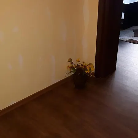 Viktoria Paradise בית הארחה דבין