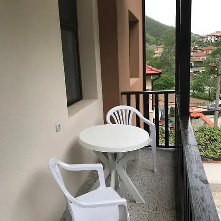 Viktoria Paradise בית הארחה