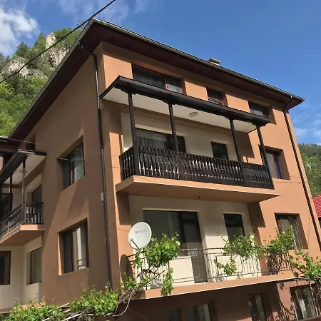 Viktoria Paradise בית הארחה דבין