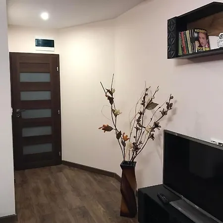 Viktoria Paradise 3* דבין