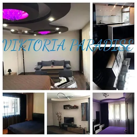 Viktoria Paradise בית הארחה דבין