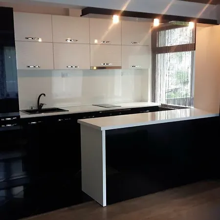 Viktoria Paradise בית הארחה