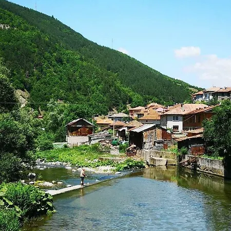 Viktoria Paradise Devin